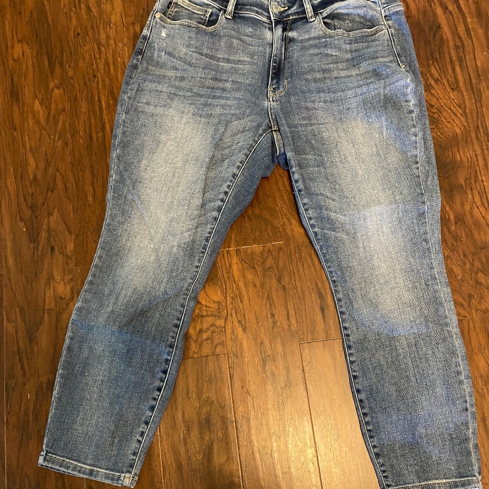 Judy Blue Mid-Rise Skinny Cropped Jeans - Size 16W